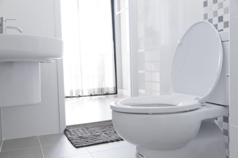 Toilet Installation Service detail